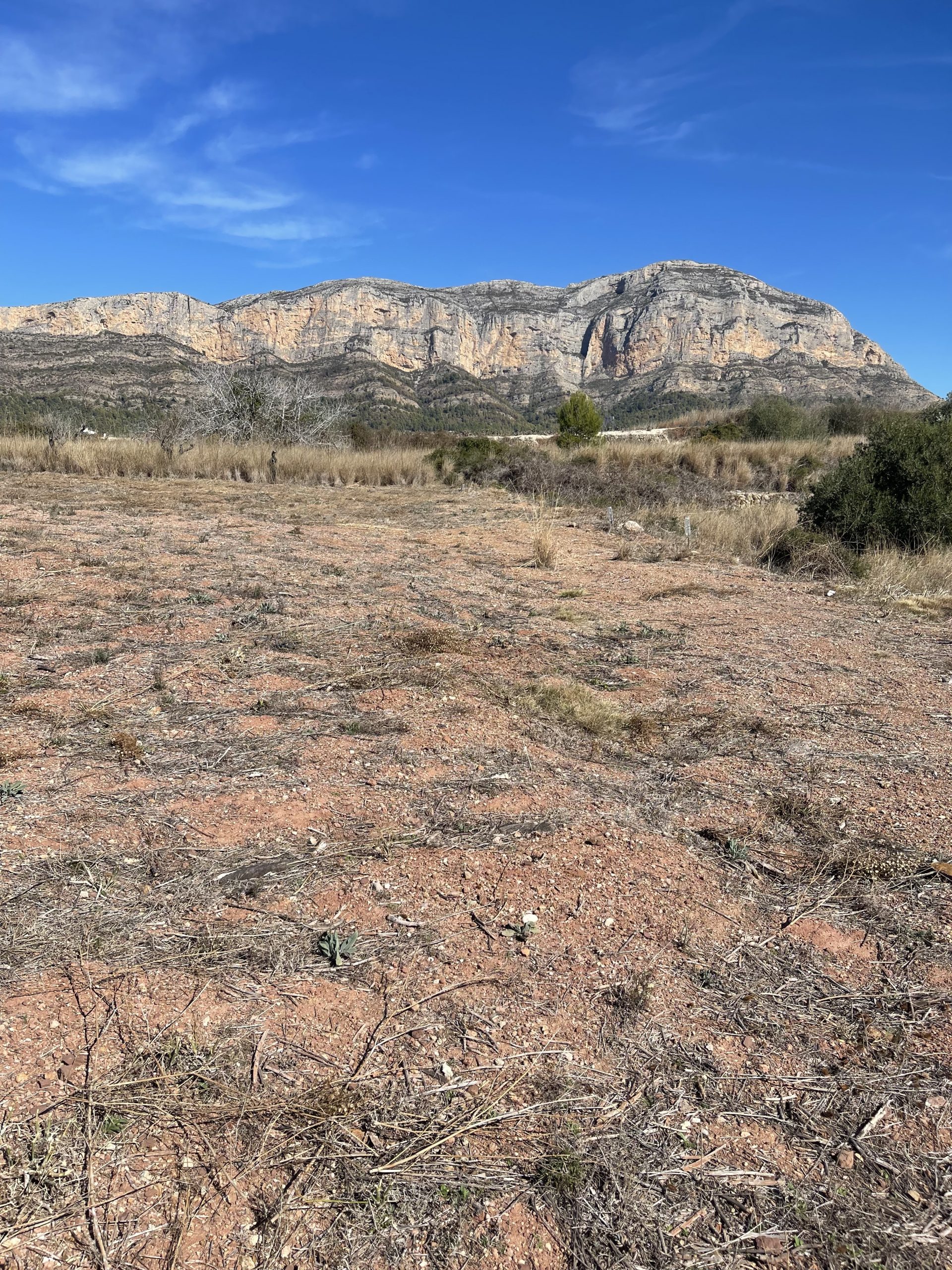 Rustic land for sale in Javea